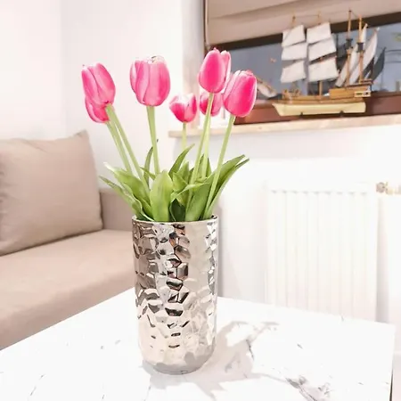 Morski Brzeg Centrum Apartment