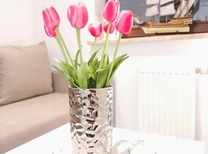 Morski Brzeg Centrum Apartment